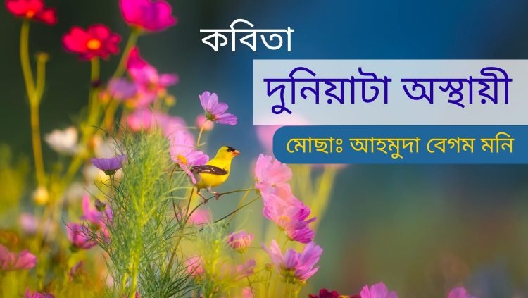 মোছাঃ আহমুদা বেগম মনি’র কবিতা “দুনিয়াটা অস্থায়ী”