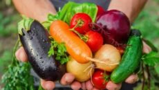 অপবিত্র জায়গায় ফলানো সবজি খাওয়া কি জায়েজ?