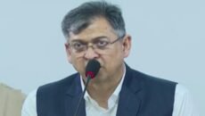 গণতন্ত্রের মুক্তির জন্য জীবন দেয়া সবাই জাতীয় বীর: সালাহউদ্দিন আহমদ