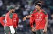 নেদারল্যান্ডসকে ১০৩ রানে গুঁড়িয়ে দিল টাইগাররা