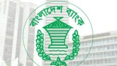 বন্ধ হচ্ছে ৯ আর্থিক প্রতিষ্ঠান, ঝুঁকিতে আরও ১৩টি