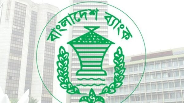 বন্ধ হচ্ছে ৯ আর্থিক প্রতিষ্ঠান, ঝুঁকিতে আরও ১৩টি