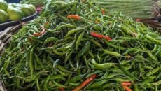 নানা অজুহাতে চড়া সবজির দাম