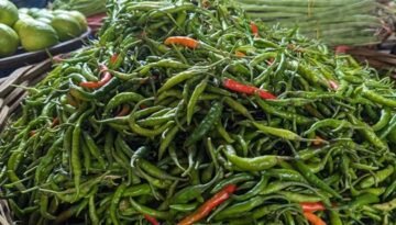 নানা অজুহাতে চড়া সবজির দাম