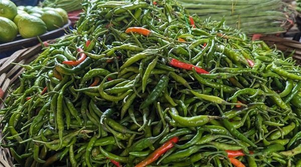 নানা অজুহাতে চড়া সবজির দাম