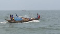 প্রজনন মৌসুমে নদীতে মাছ ধরা বন্ধ দুই মাস